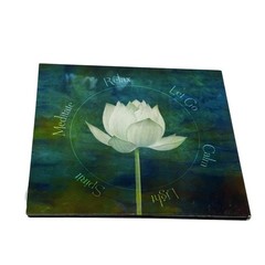 David Wahler Spiritus CD 2015 Signed New Age Meditation Yoga Music Digipak