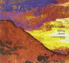 Tindersticks Falling Down a Mountain (CD)