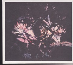 fredrik flora cd