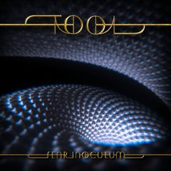 Tool Fear Inoculum Still Sealed Mint Limited Edition CD Variant 1 Expanded Book